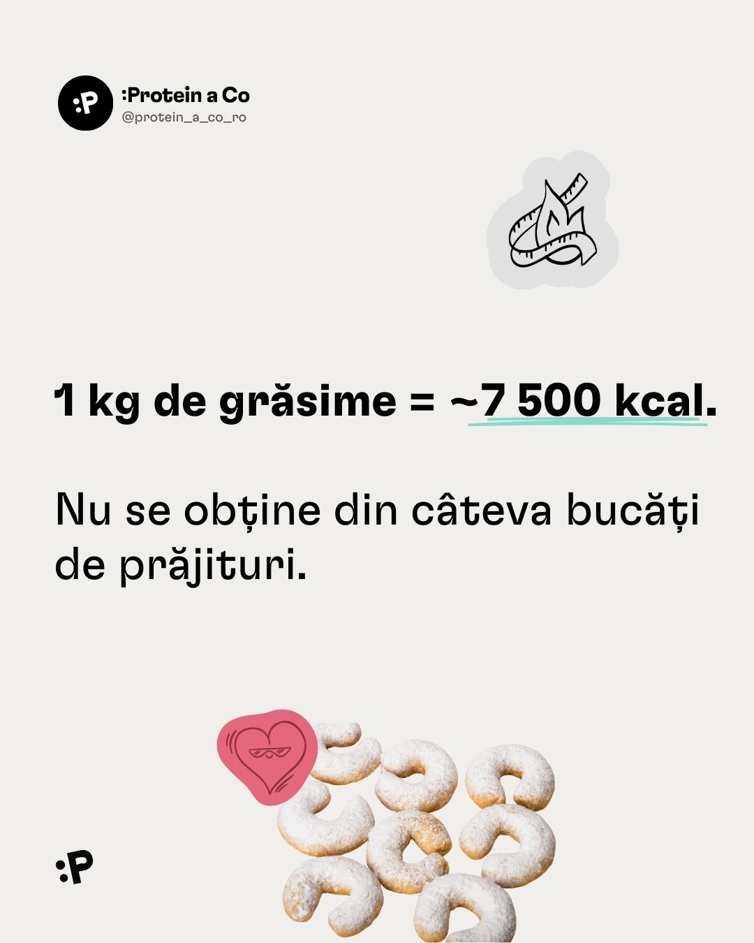 Vanoce-a-pribirani-3-RO-clanek-proteinaco